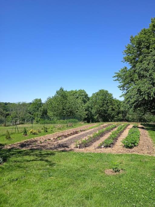Les Jardins Des 3 Provinces- Gite Montcharvot Zewnętrze zdjęcie
