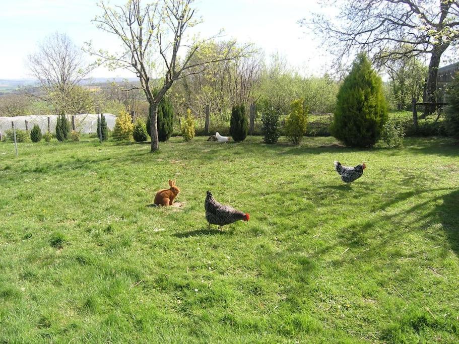 Les Jardins Des 3 Provinces- Gite Montcharvot Zewnętrze zdjęcie