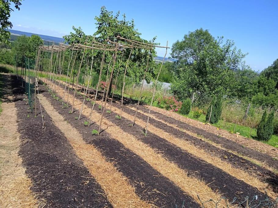Les Jardins Des 3 Provinces- Gite Montcharvot Zewnętrze zdjęcie