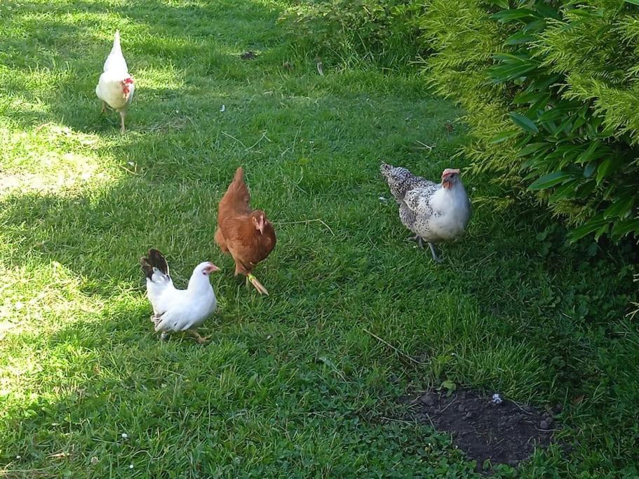Les Jardins Des 3 Provinces- Gite Montcharvot Zewnętrze zdjęcie