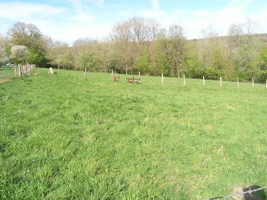Les Jardins Des 3 Provinces- Gite Montcharvot Zewnętrze zdjęcie