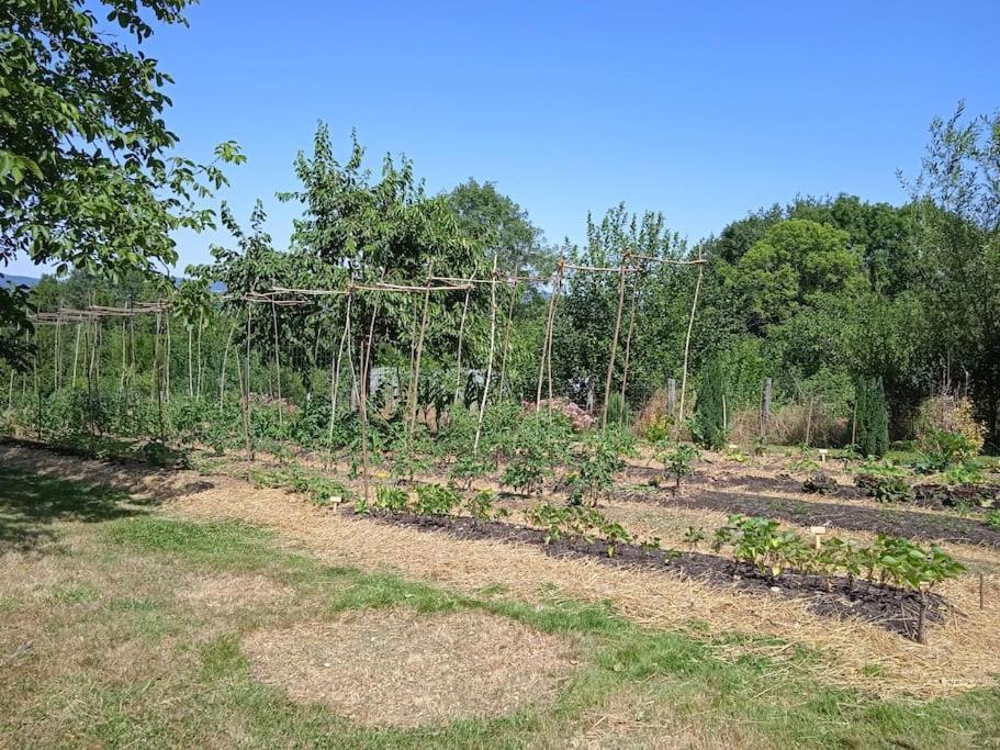 Les Jardins Des 3 Provinces- Gite Montcharvot Zewnętrze zdjęcie