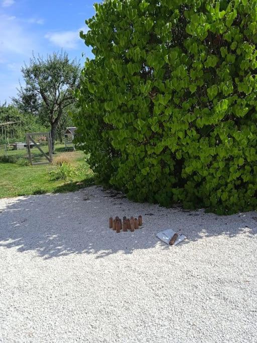 Les Jardins Des 3 Provinces- Gite Montcharvot Zewnętrze zdjęcie