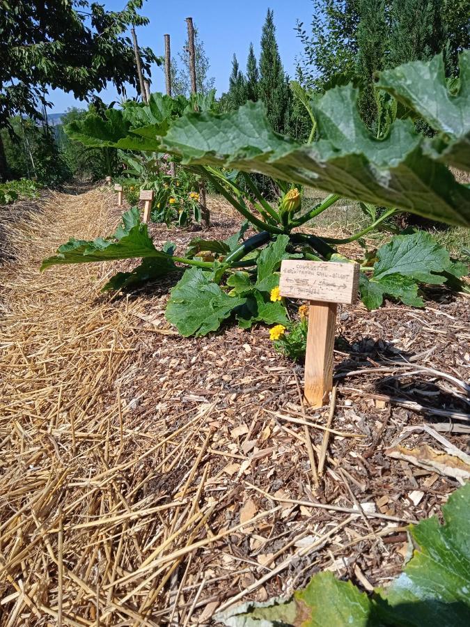 Les Jardins Des 3 Provinces- Gite Montcharvot Zewnętrze zdjęcie