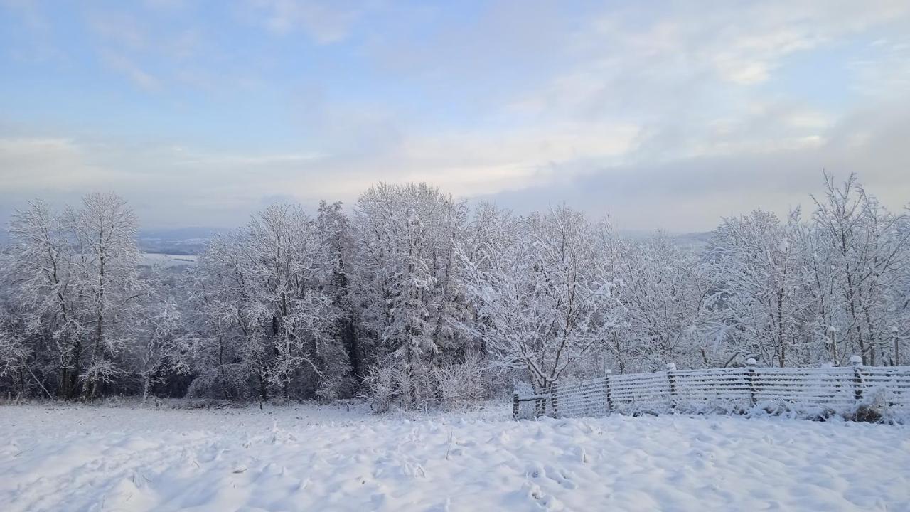 Les Jardins Des 3 Provinces- Gite Montcharvot Zewnętrze zdjęcie